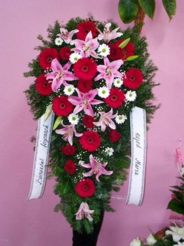 primula 10